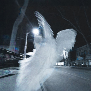 我要进入你的小花园里
