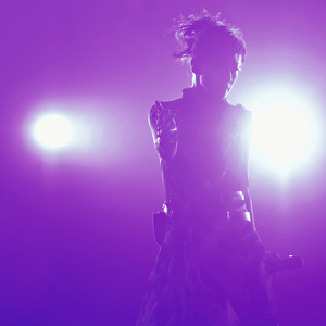 我要进入你的小花园里
