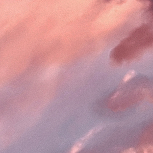 我要进入你的小花园里
